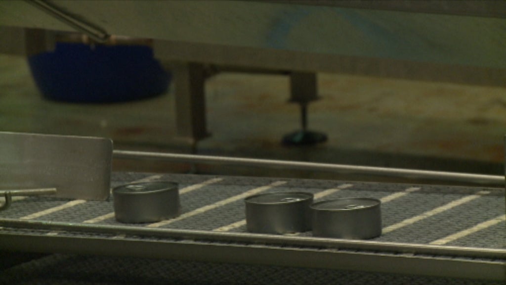 Privatização da Conserveira de São Jorge