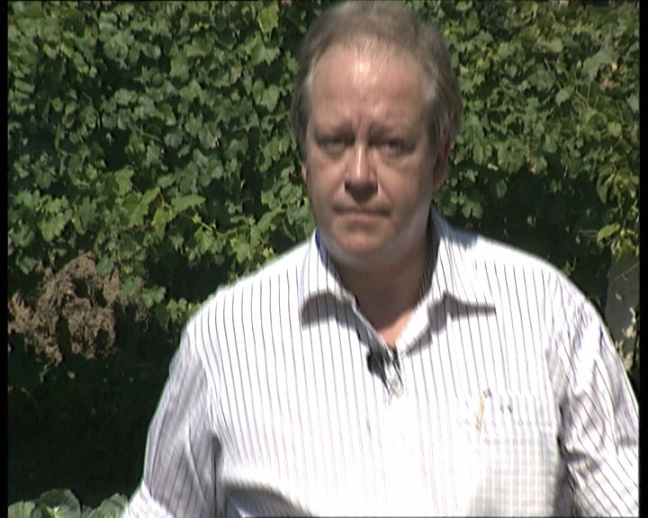 A reestruturação da vinha em Portugal I