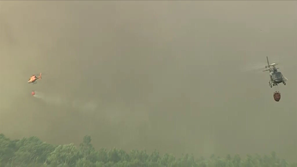 Contratação de meios aéreos contra incêndios