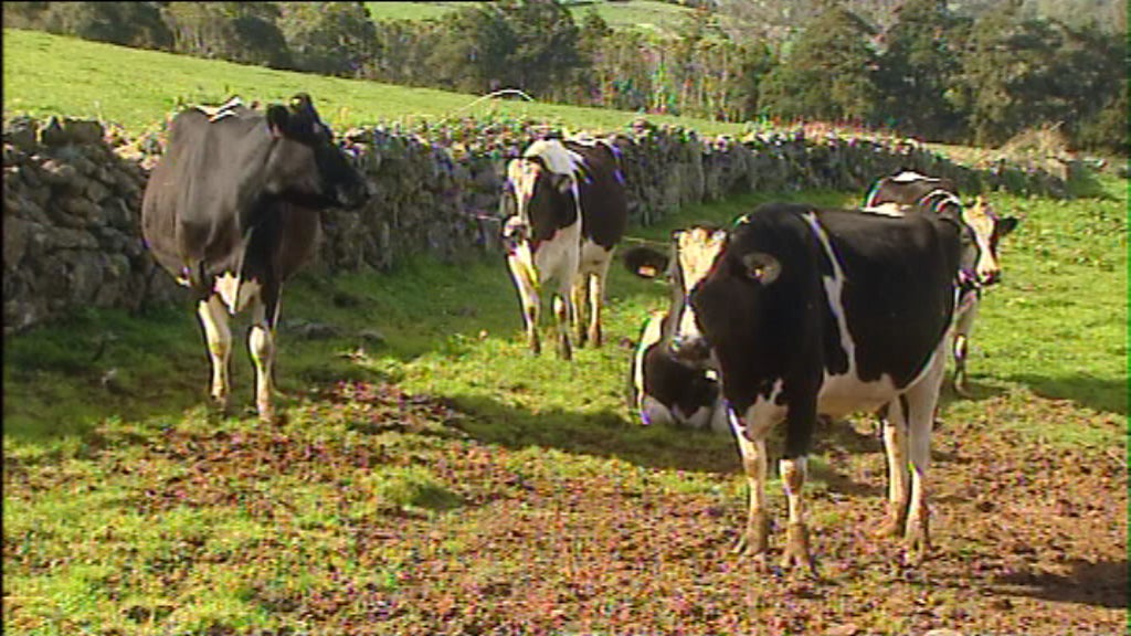 Aumento do preço do leite
