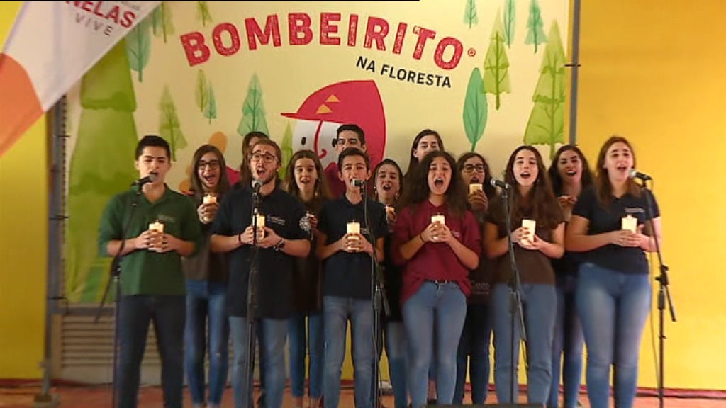 Um ano depois dos incêndios florestais