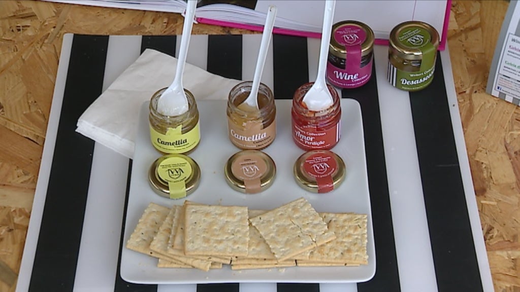 Semana da Camélia em Vila Nova de Famalicão II