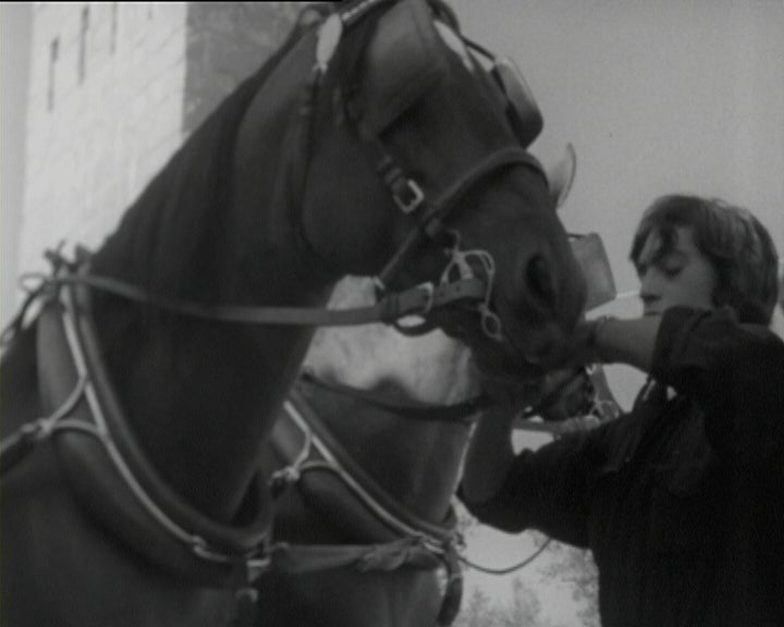 Desfile e Provas de Coches e de Charretes