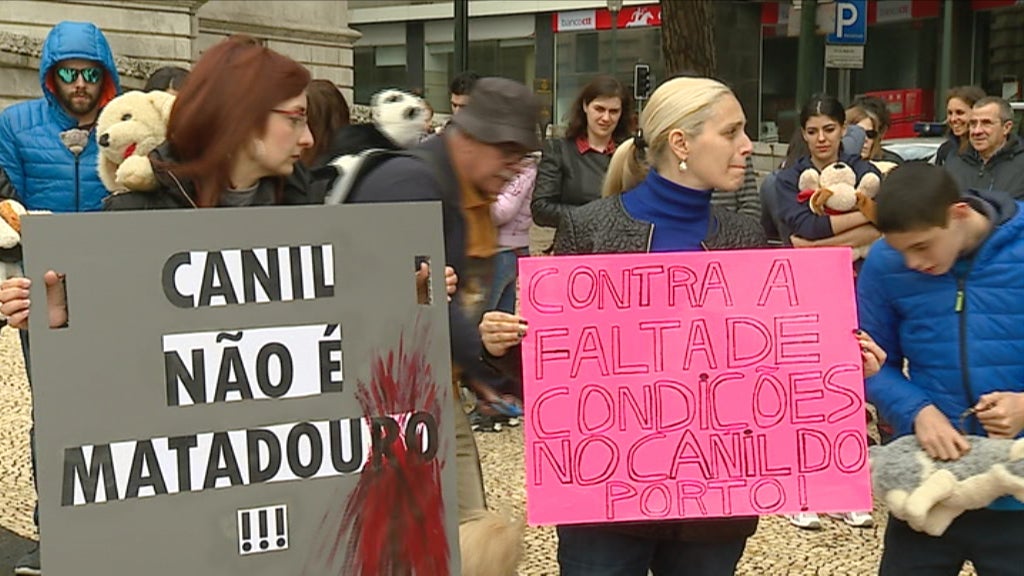 Manifestação em defesa dos direitos dos animais
