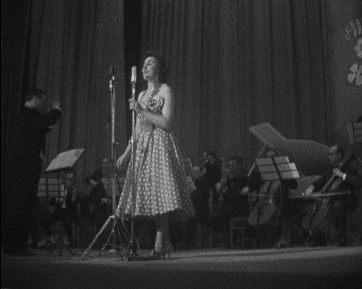 Festas do Maio Florido