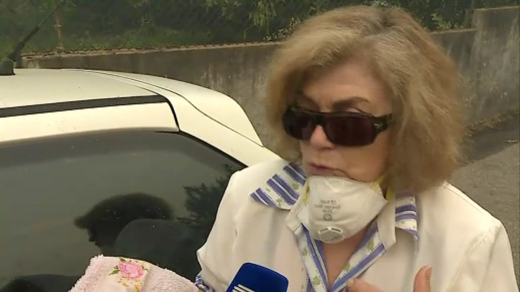 Trovoada provoca incêndio em Pedrogão Grande