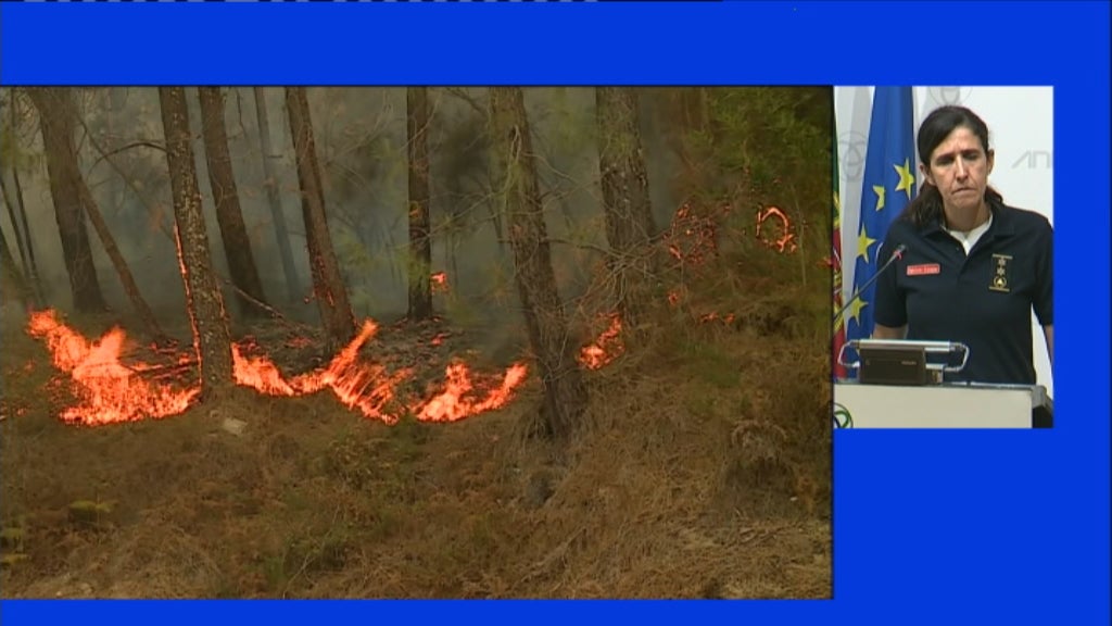 Conferência de imprensa de Patrícia Gaspar