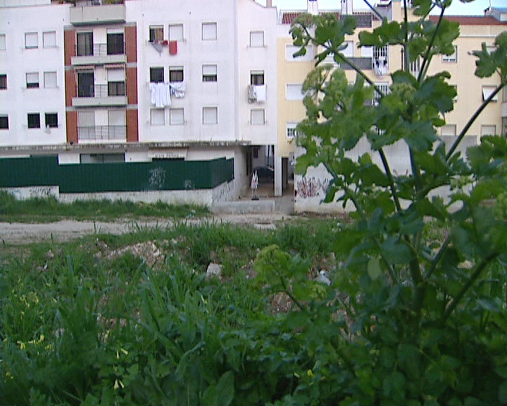Capturado violador de Benfica
