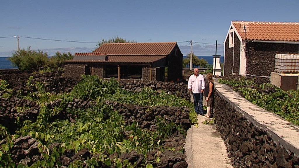 Novo Vinho Materramenta