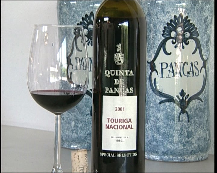 Quinta de Pancas e gastronomia de Alenquer