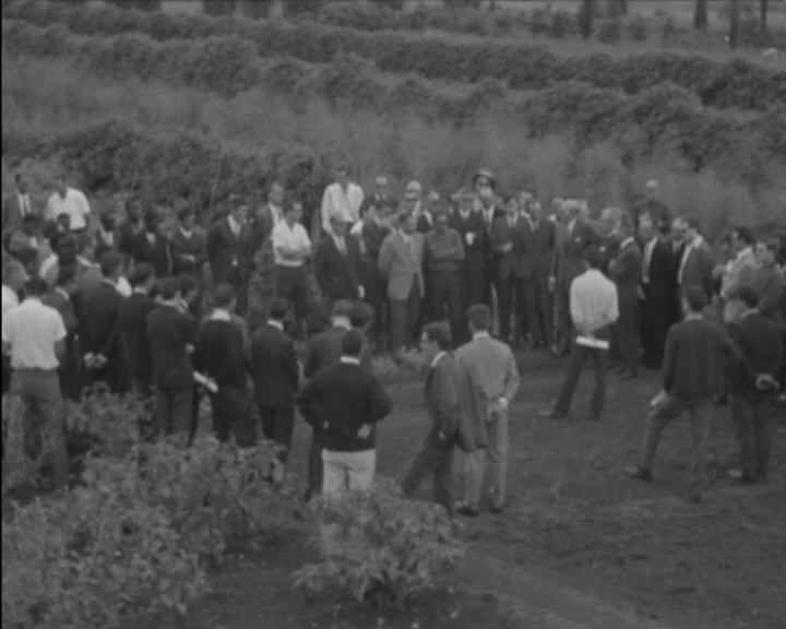 Dia do Agricultor em Nova Lisboa