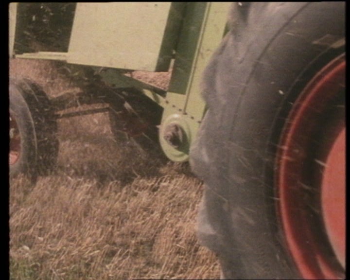 A reforma da política agrícola comum