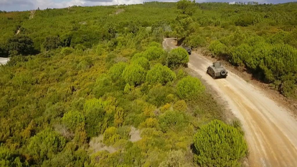 Unidade Especial do Exército – Comandos