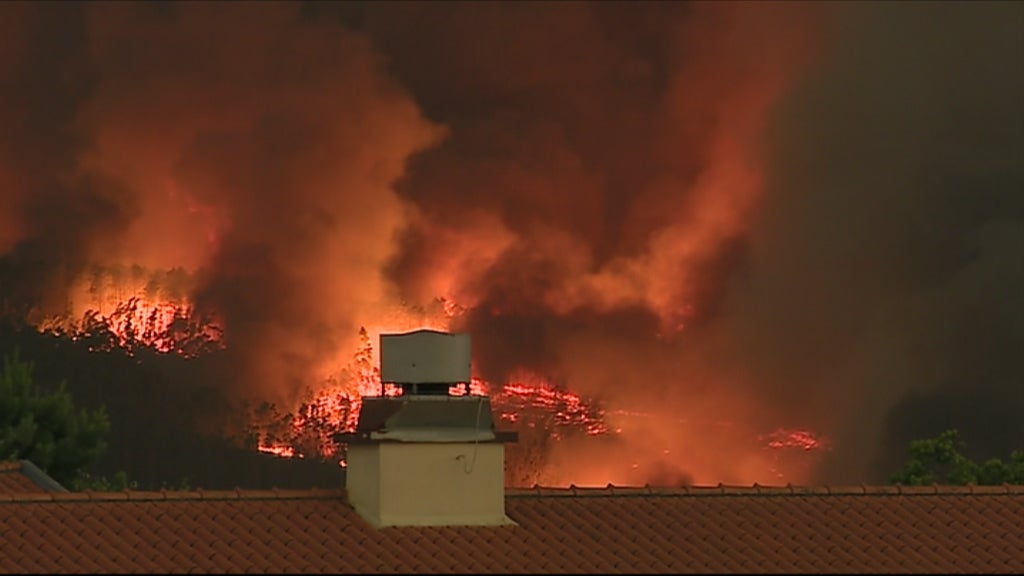 Relatórios sobre o incêndio florestal de Pedrógão Grande