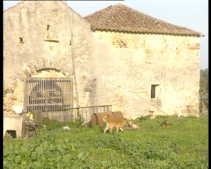 Destruição do património na Nazaré