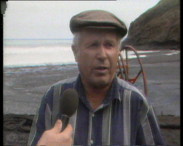 Porto Santo, situação das limpezas da costa após maré negra.