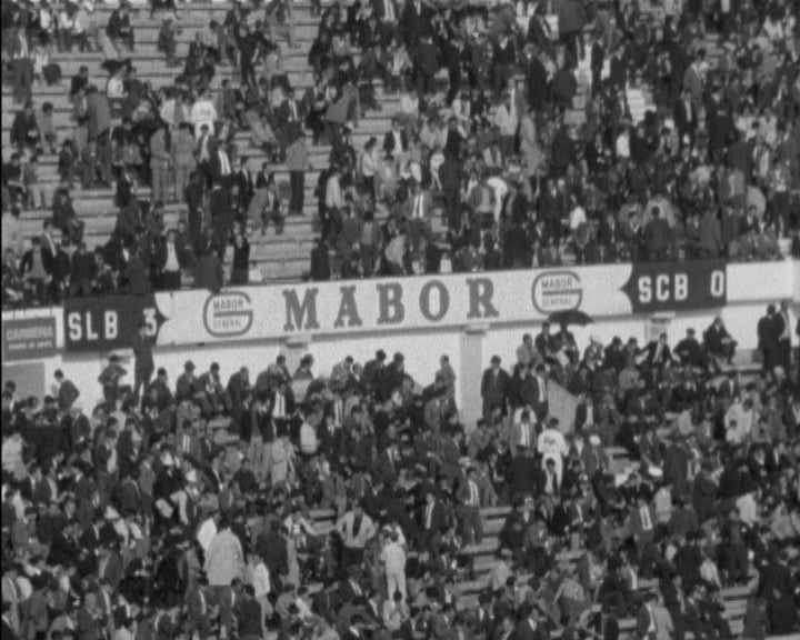 Futebol: SL Benfica vs SC Braga