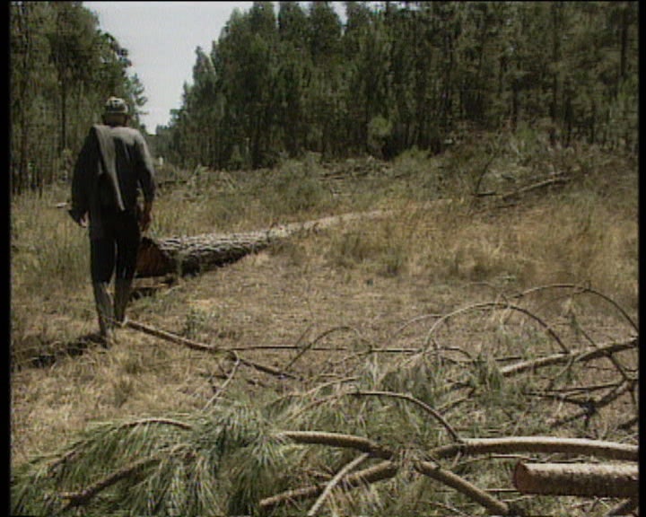 Reunião entre agricultores e Transgás