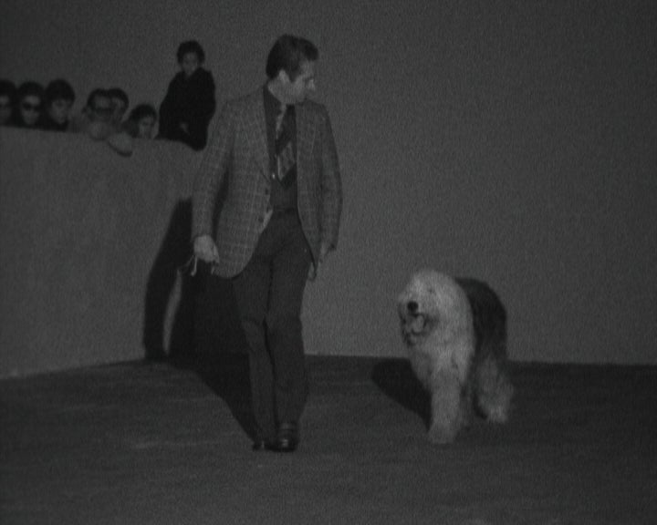 Exposição Canina Internacional na FIL