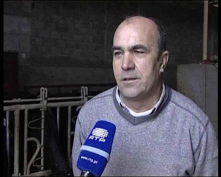 Produtores de leite abandonam explorações por dificuldades económicas