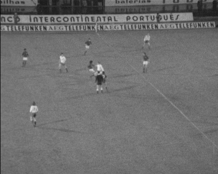 Futebol: Portugal vs Suíça