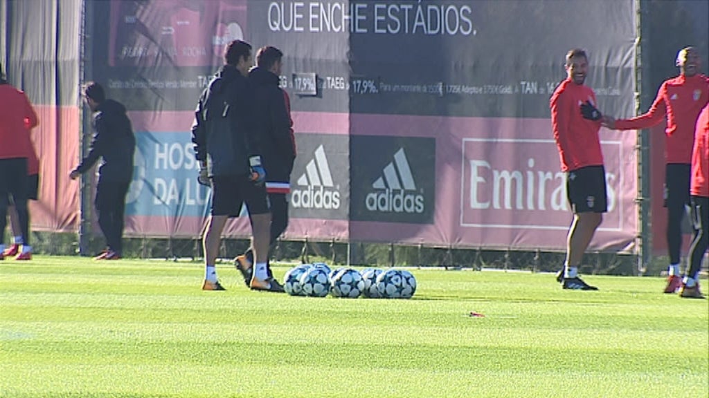 Futebol: antevisão Benfica vs Boavista