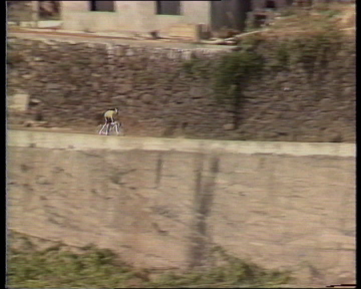 Ciclismo: Volta à Madeira em Bicicleta