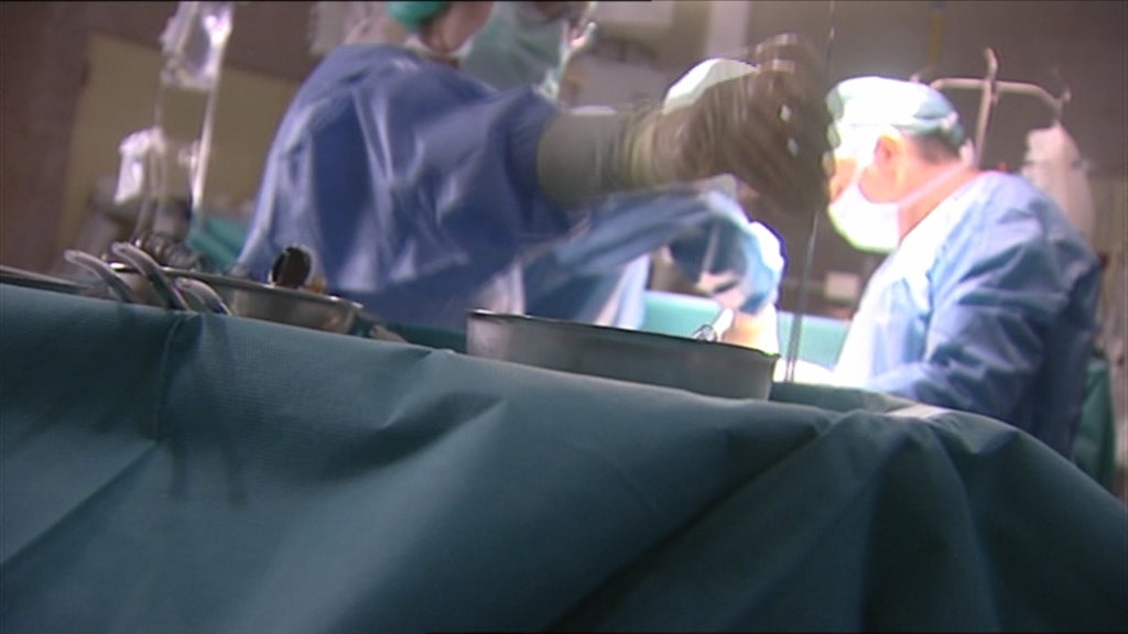 Lei de Bases da Saúde