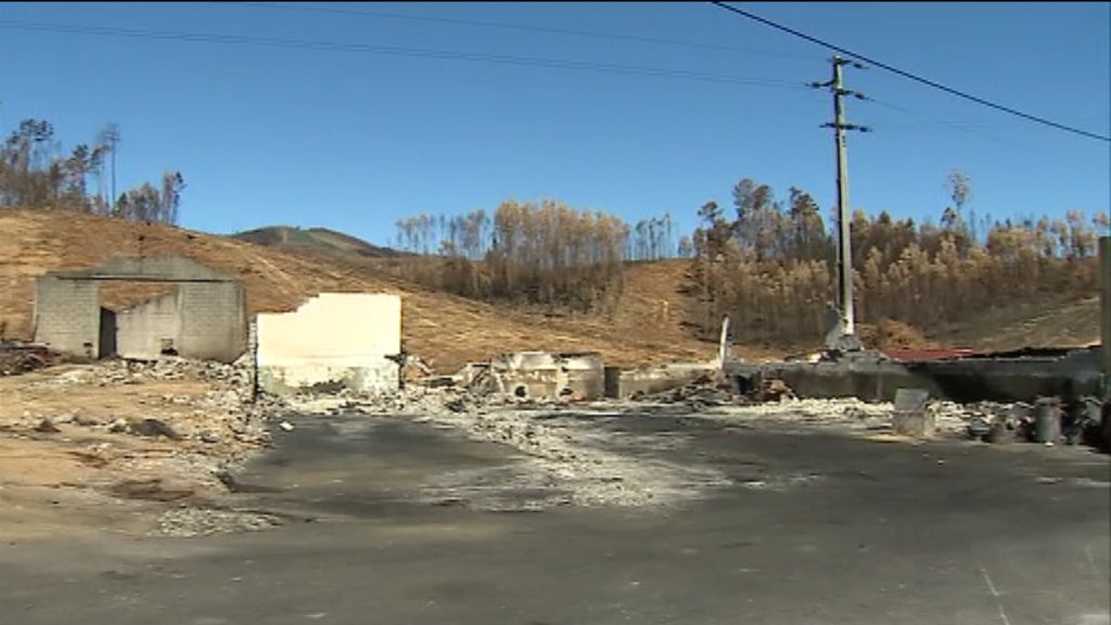 Situação das empresas afetadas por incêndios florestais