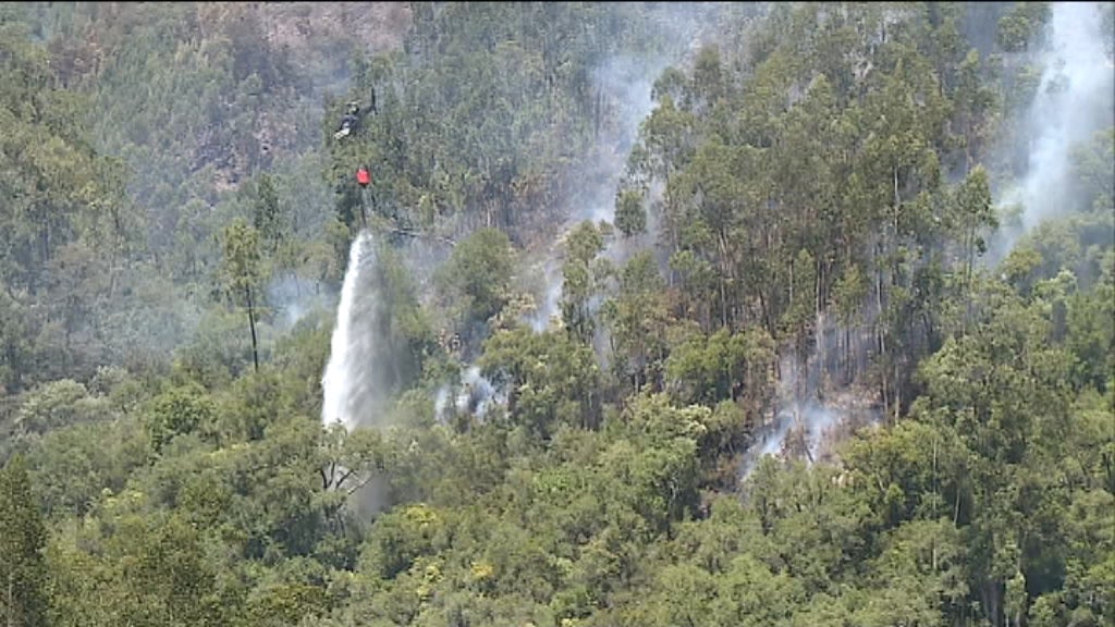 Incêndio florestal em Penacova