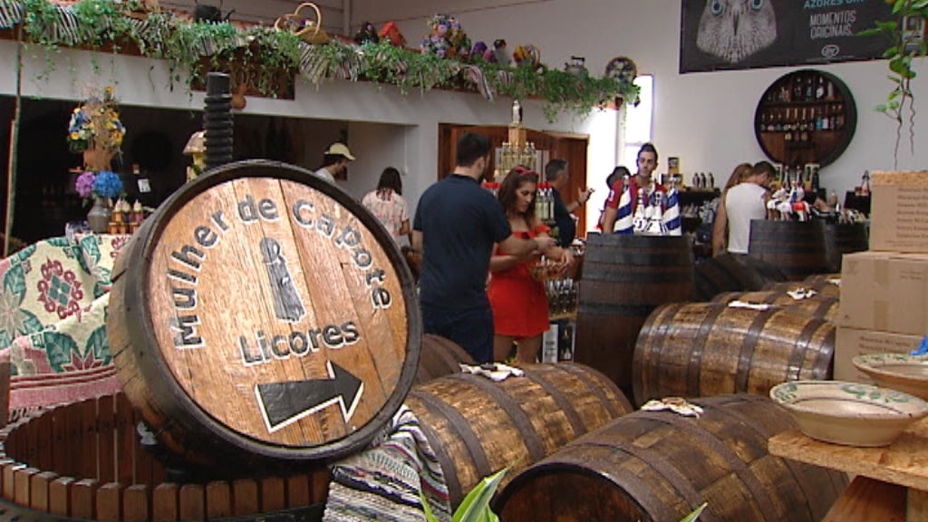 Cana de Açúcar para gado