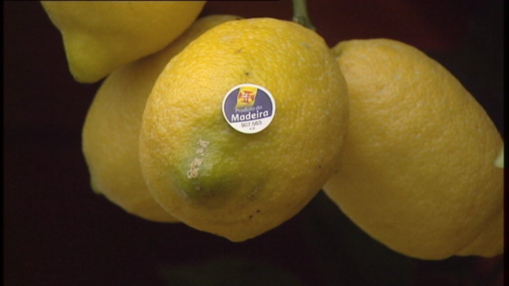 16ª Edição da “Festa do Limão”