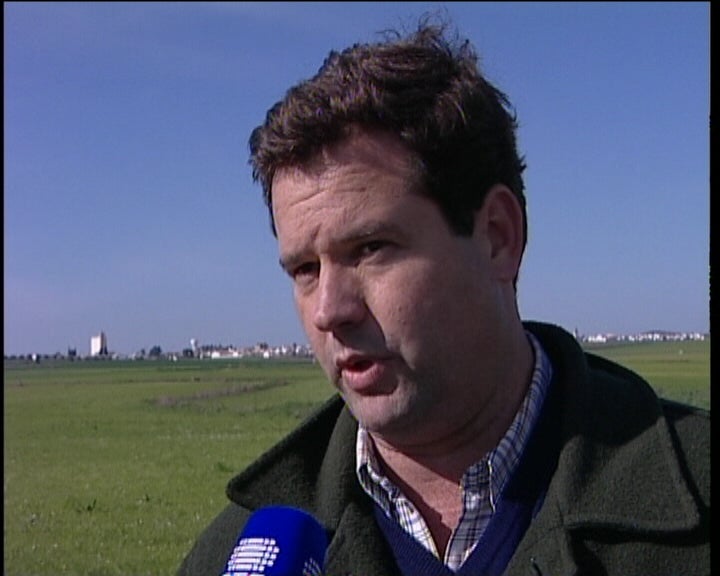 Prejuízos nos cereais