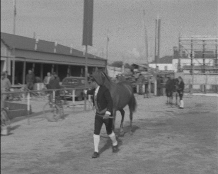 Abertura da feira anual da Golegã