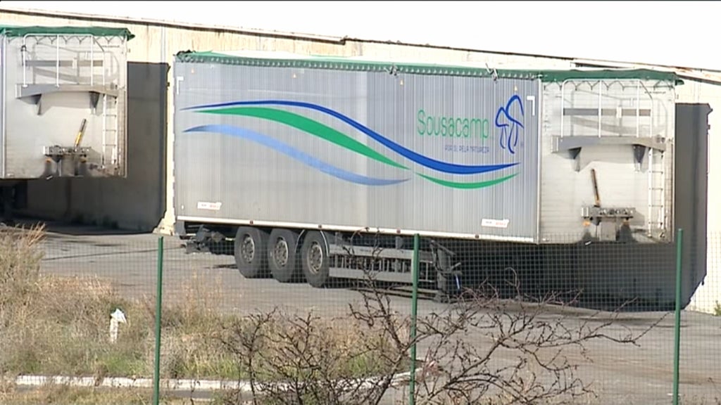 “Vila Flor Cogumelos” em risco de insolvência