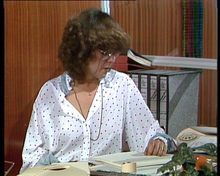 Vila Faia – Ep. 29