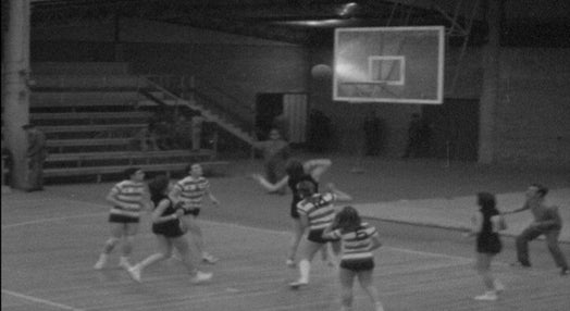 Académica vs Sporting em Basquetebol Feminino