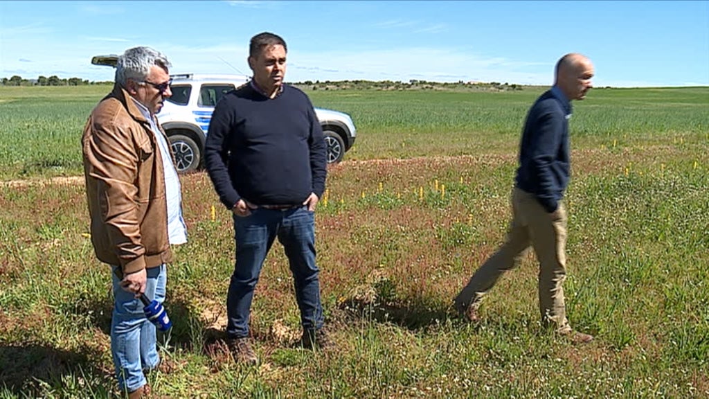 Seca em Idanha-a-Nova