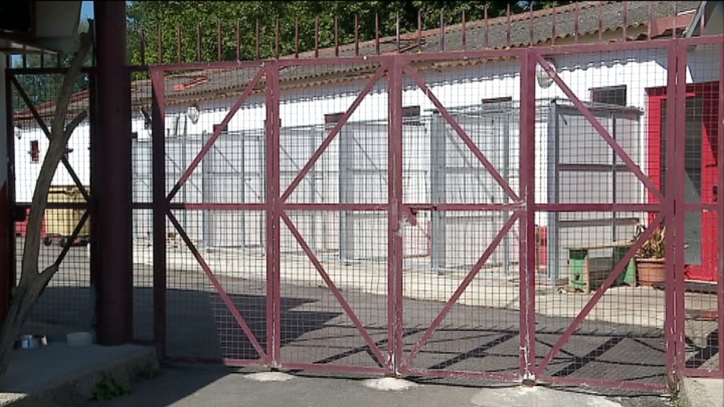 Proíbido abater animais