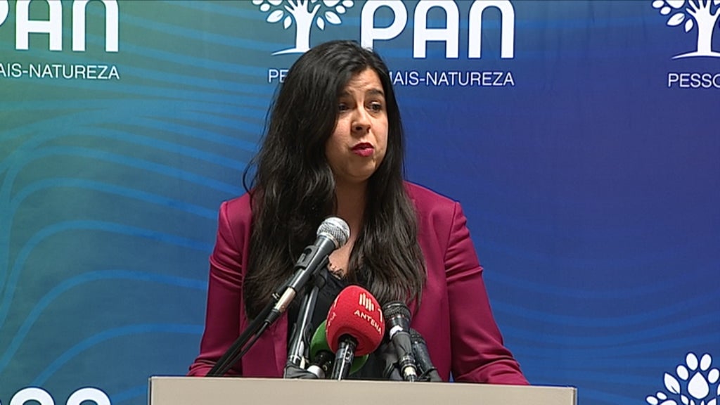 Eleições Europeias 2019: Projeções eleitorais