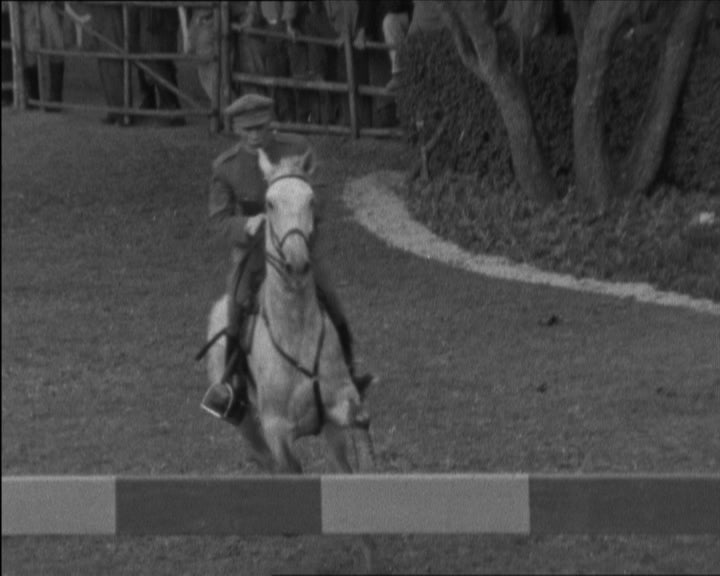 Hipismo: concurso em Cascais