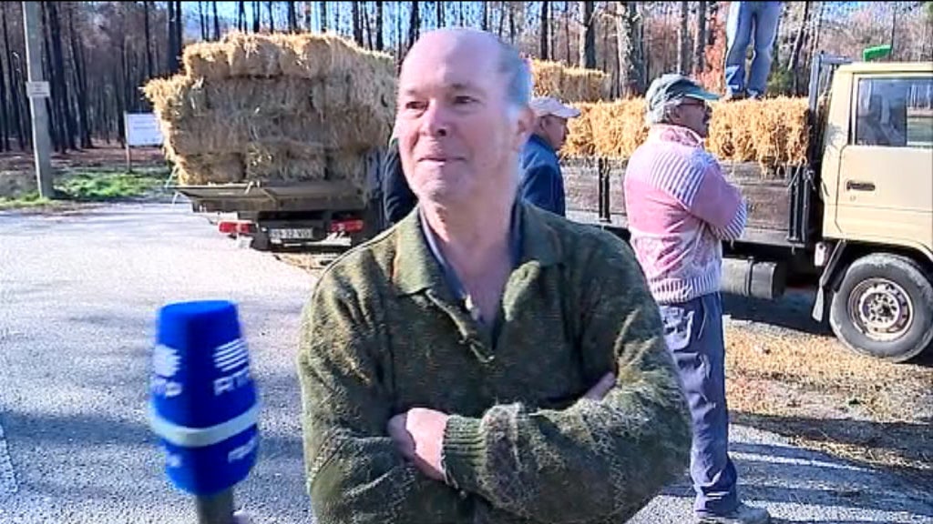 Apoios aos criadores de gado