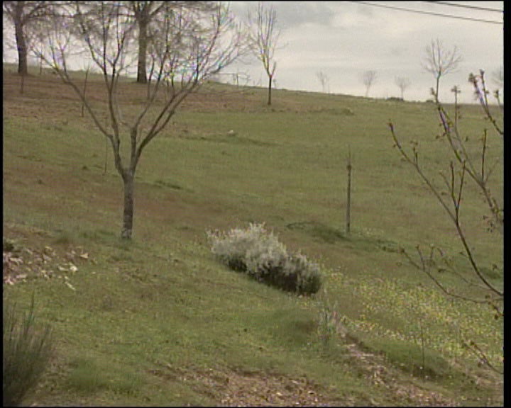 Aprovada moção contra taxas no parque de Montesinho