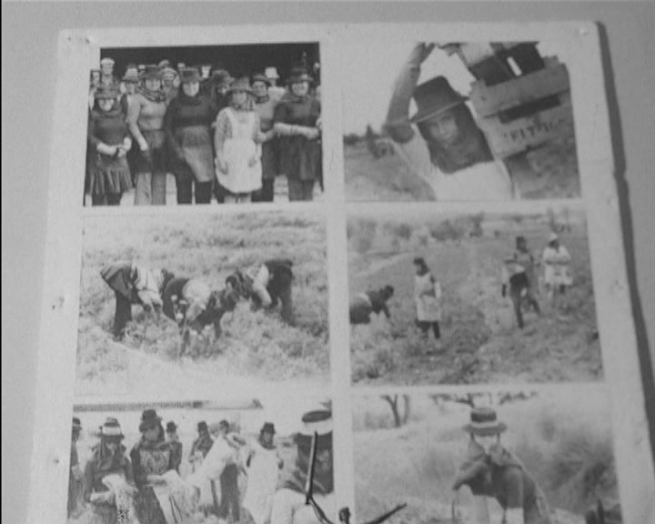 Conselho Nacional do Movimento Democrático de Mulheres