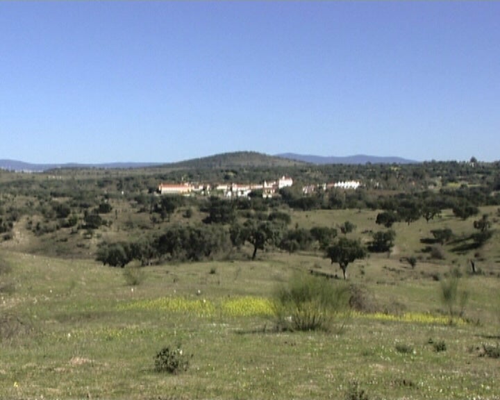 Alter, Os Doze Melhores e a Coudelaria