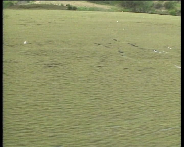 Poluição no Rio Guadiana