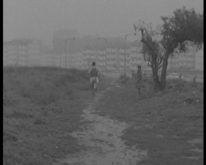 Atletismo: prova de corta-mato