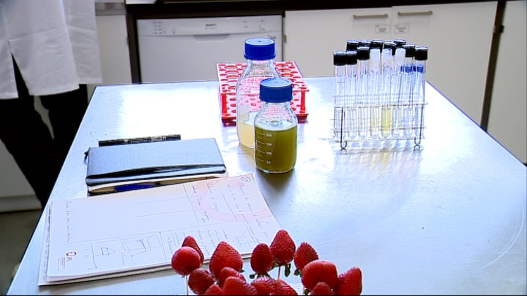 Centro de Ciências do Mar e do Ambiente