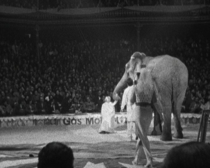 Estreia da Companhia do grande circo de Madrid