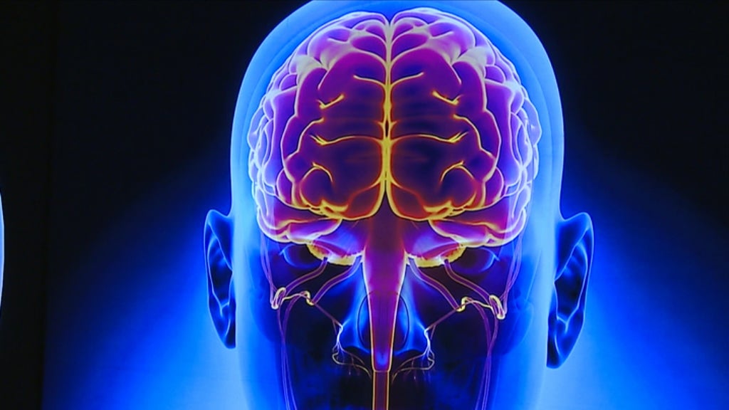 Exposição “Corpo Humano – A Ciência da Vida”